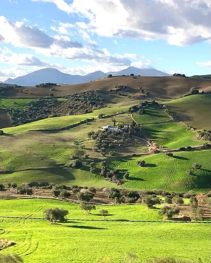 Finca Las Campanas II Villanueva de la Concepción